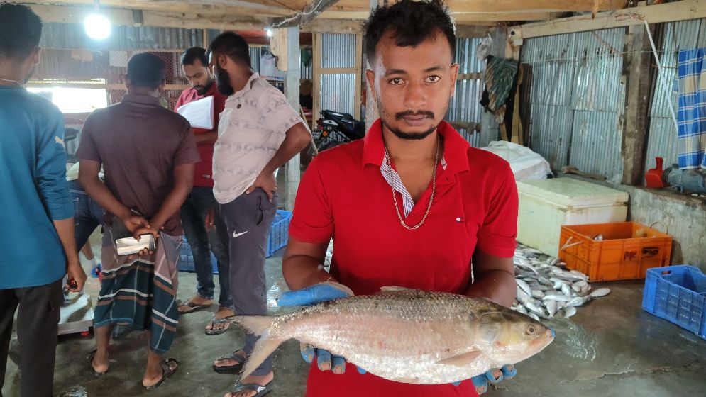 রাজকীয় দামে বিক্রি হলো রাজা ইলিশ