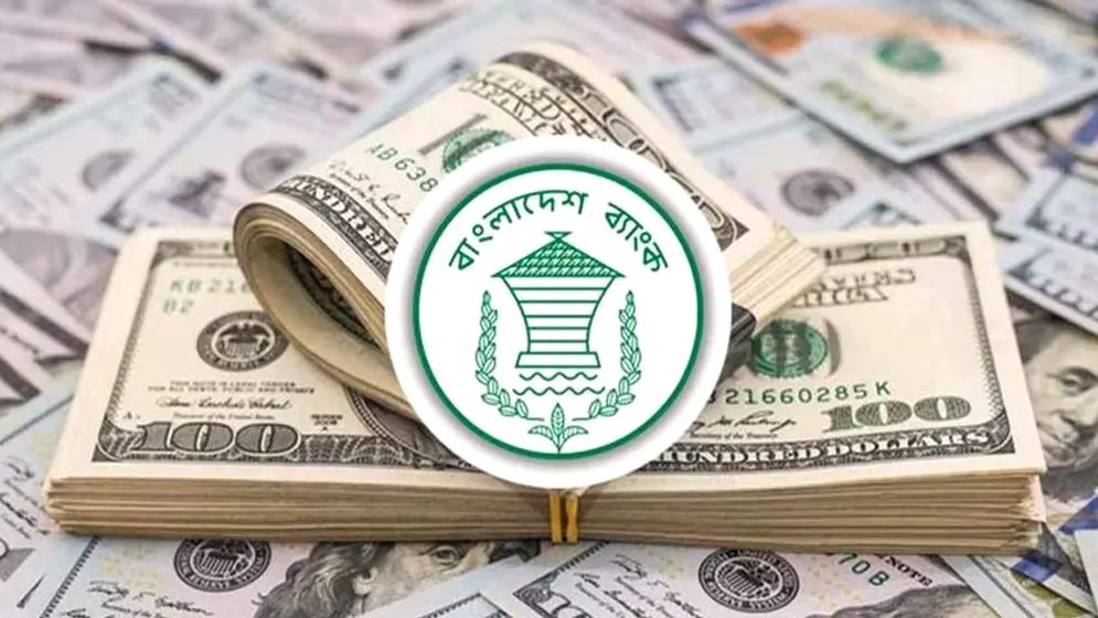 ১৩ দিনে রেমিট্যান্স এলো ১৭ হাজার ৫৫২ কোটি টাকা   