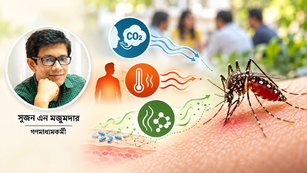 মশার কামড় নিয়ে গবেষণা