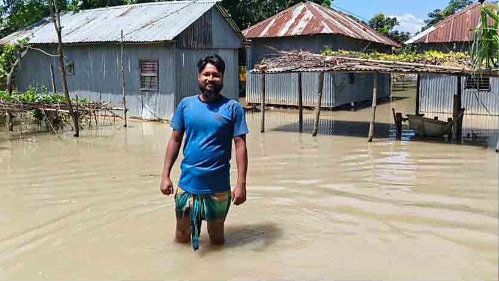 বন্যায় ১৫ গ্রামের ১৩ গ্রামেই পানি, গবাদি পশু নিয়ে চরম ভোগান্তি