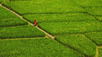 নতুন নিয়মে জমির নামজারি, লাগবে যেসব কাগজপত্র 