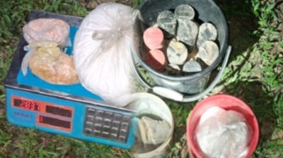 আমবাগানে মিলল ককটেল ও বিপুল পরিমাণ বারুদ