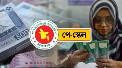 পে-স্কেলের গেজেট বর্তমানে কোন পর্যায়ে আছে?