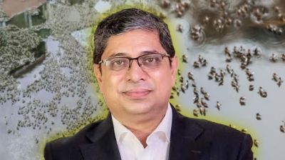 যেকোনো মূল্যে ডেঙ্গু প্রতিরোধ করতে হবে