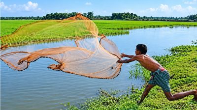 ঝাঁকি জালের সেই দিন এখন স্মৃতি