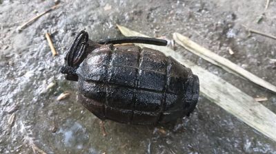 পুকুরে মিলল তাজা গ্রেনেড, তারপর যা হলো