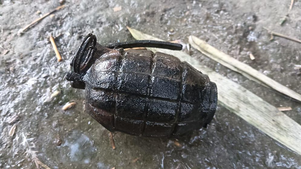 পুকুরে মিলল তাজা গ্রেনেড, তারপর যা হলো