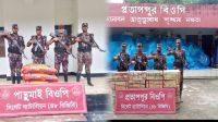সীমান্তে বিপুল পরিমাণ পণ্য আটক করল বিজিবি