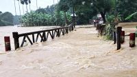 বাড়ছে নদীর পানি, বন্যার শঙ্কা