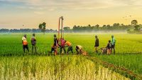 গ্যাসের নতুন মজুতের খোঁজে বাপেক্স