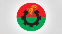 প্রবাসীর স্ত্রীর সঙ্গে বিএনপি নেতার ভিডিও ভাইরাল, অতঃপর...