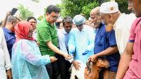 দেশীয় এলএসডি ভ্যাকসিনে সুরক্ষিত হবে গবাদিপশু