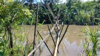 হাজার হাজার মানুষের একমাত্র ভরসা ঝুঁকিপূর্ণ বাঁশের সাঁকো