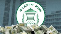 প্রায় ৬ বিলিয়ন ডলার রেমিট্যান্স এসেছে জুলাই-আগস্টে