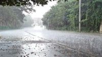 দেশের ৭ জেলায় ঝড় ও বজ্রবৃষ্টির আভাস  