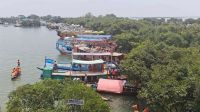 রামসার টাঙ্গুয়ার হাওর অস্তিত্বসংকটে, অপরিকল্পিত পর্যটনে বাড়ছে মৃত্যু  