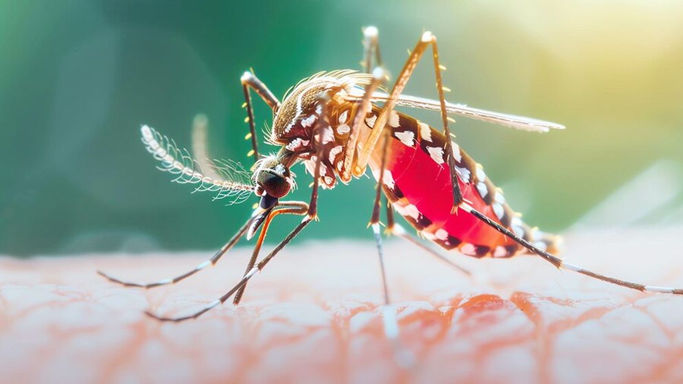 ডেঙ্গুতে আক্রান্ত ছাড়িয়েছে এক লাখ  