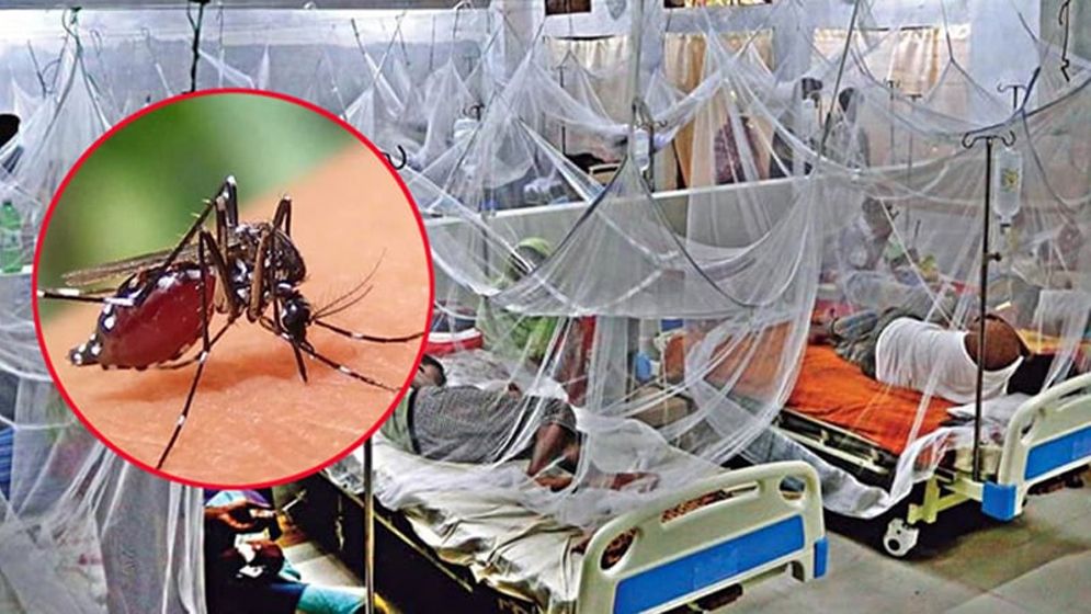 ডেঙ্গুতে একদিনে ১০ জনের মৃত্যু