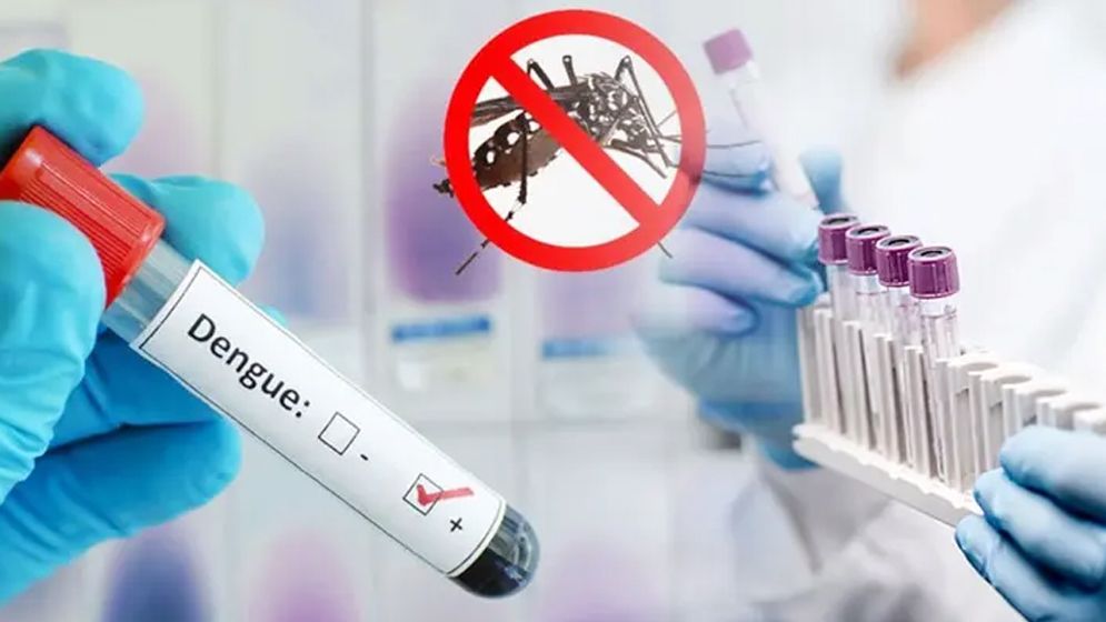 ডেঙ্গুতে এক দিনে প্রাণ ঝরল ১০ জনের  