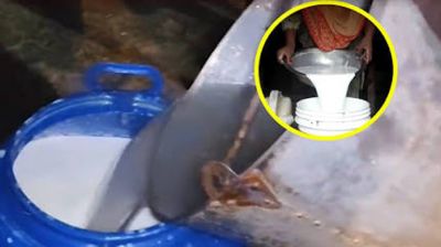 গরু ছাড়াই তৈরি হচ্ছে দুধ!