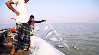 মধ্যরাত থেকে শুরু হচ্ছে জাটকা নিধন বন্ধে ৮ মাসের নিষেধাজ্ঞা  
