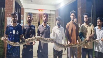 ১২ ফুট অজগর উদ্ধার, টিলাগড়ের বনে অবমুক্ত  