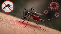 ডেঙ্গুতে আরও ৭ জনের মৃত্যু