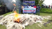 রাঙ্গাবালীতে মা ইলিশ সংরক্ষণে অভিযান, ১২ জেলেকে কারাদণ্ড