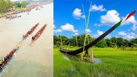 নৌকার বৈঠায় এখনো জেগে ওঠে সিংগাইর