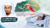  জ্বর কমলেই কি ডেঙ্গুর বিপদ কাটে? যে সময়ে থাকতে হবে সবচেয়ে বেশি সতর্ক