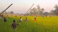 লালমনিরহাটে লোকালয়ে বাঘের হানা, আহত ৩  
